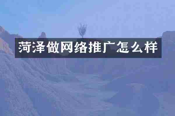 菏泽做网络推广怎么样