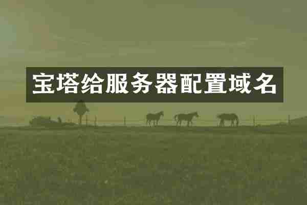 宝塔给服务器配置域名