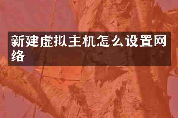 新建虚拟主机怎么设置网络