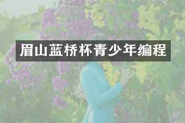 眉山蓝桥杯青少年编程