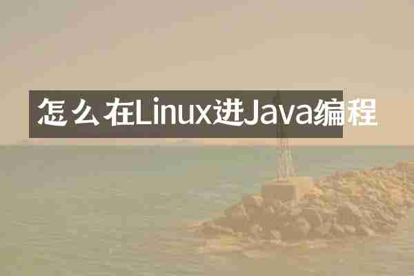 怎么在Linux进Java编程