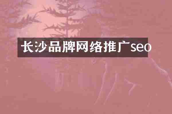 长沙品牌网络推广seo