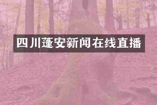 四川蓬安新闻在线直播