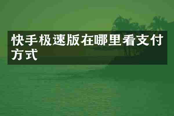 快手极速版在哪里看支付方式