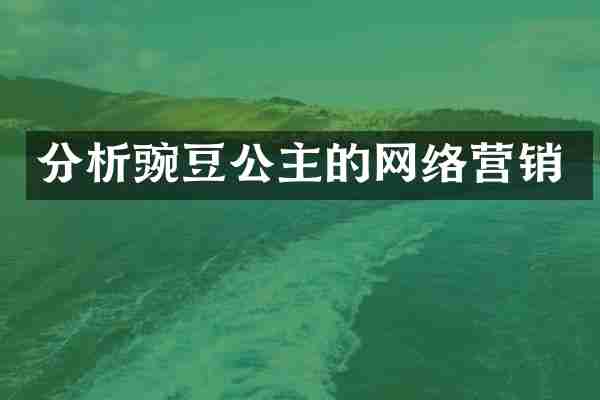 分析豌豆公主的网络营销