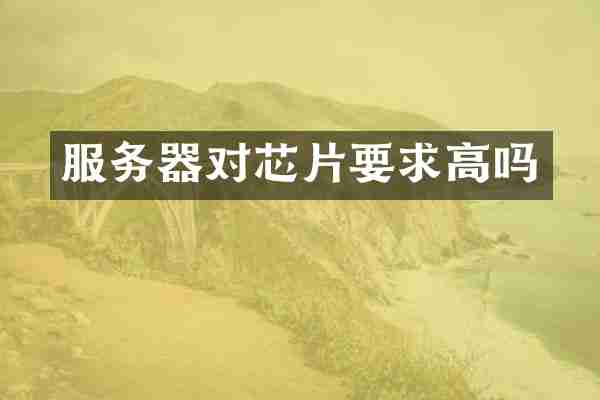 服务器对芯片要求高吗