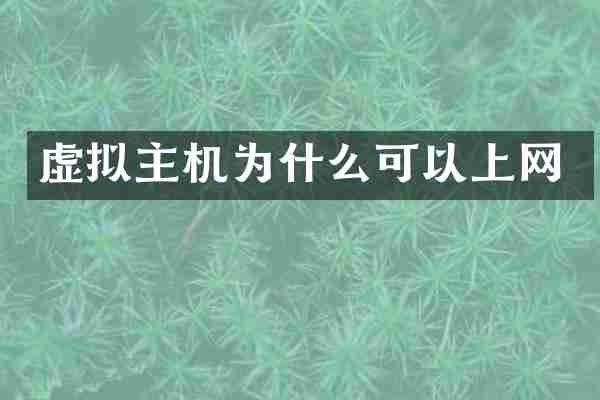 虚拟主机为什么可以上网