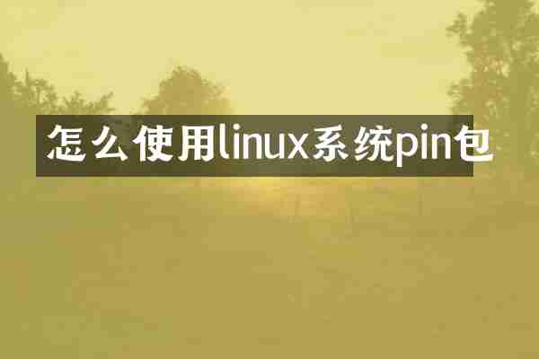 怎么使用linux系统pin包