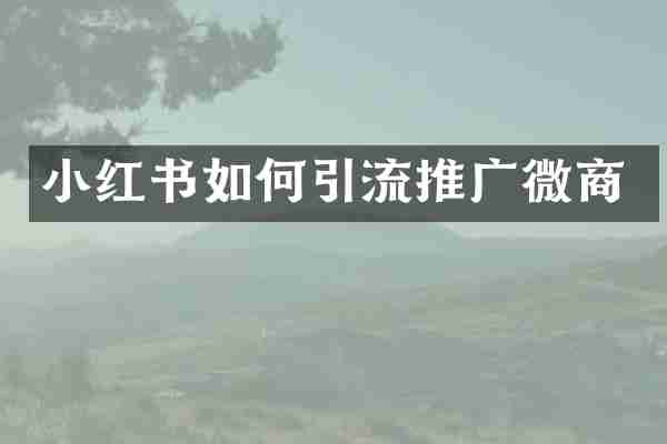 小红书如何引流推广微商