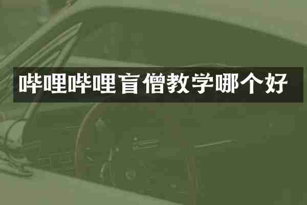 哔哩哔哩盲僧教学哪个好