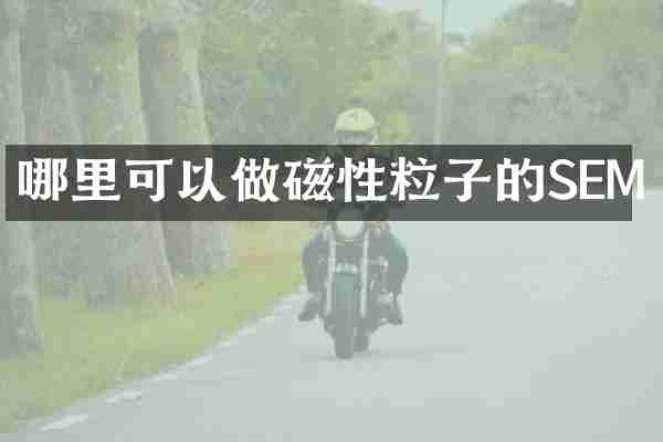 哪里可以做磁性粒子的SEM