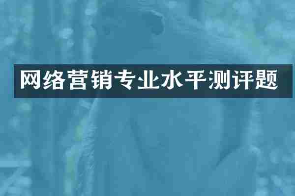 网络营销专业水平测评题