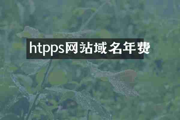 htpps网站域名年费