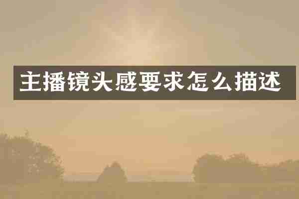 主播镜头感要求怎么描述