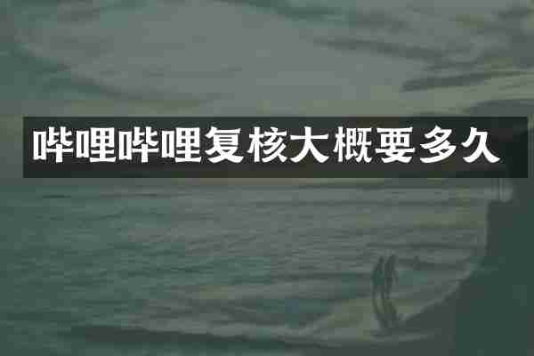 哔哩哔哩复核大概要多久