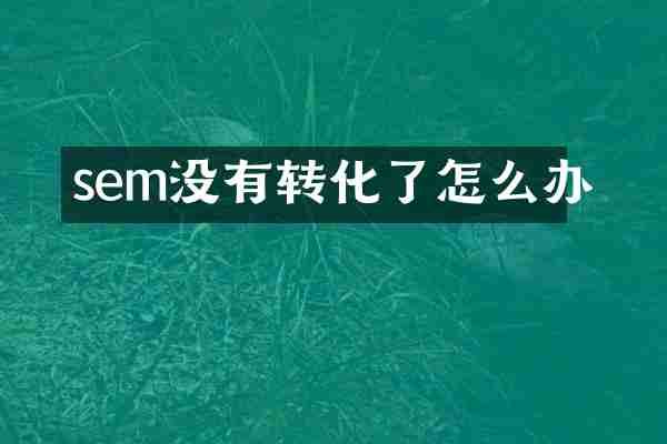 sem没有转化了怎么办