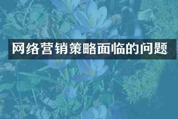 网络营销策略面临的问题
