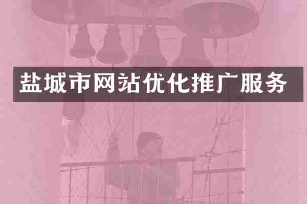 盐城市网站优化推广服务