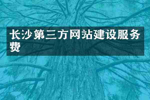 长沙第三方网站建设服务费