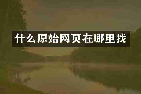 什么原始网页在哪里找