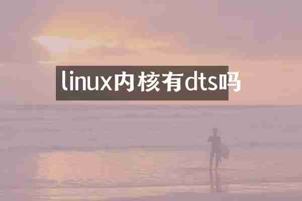 linux内核有dts吗