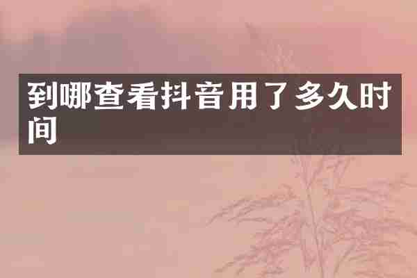 到哪查看抖音用了多久时间