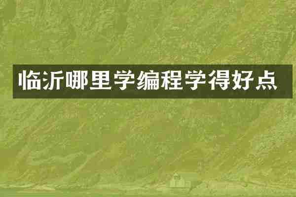 临沂哪里学编程学得好点