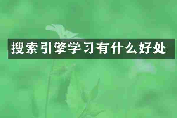 搜索引擎学习有什么好处