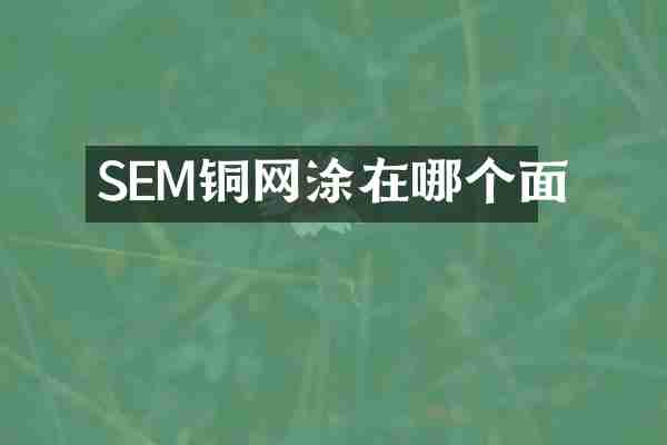 SEM铜网涂在哪个面