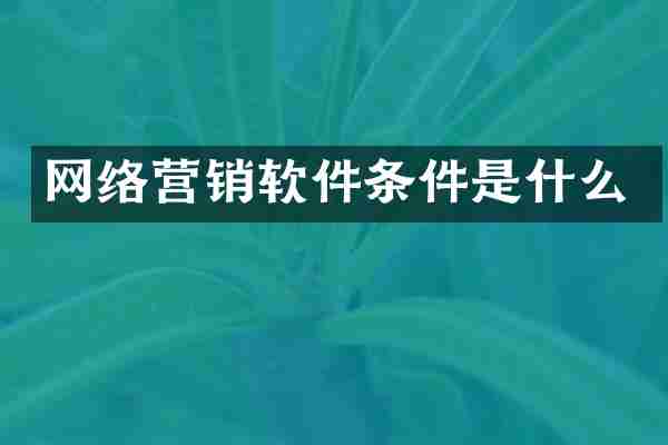 网络营销软件条件是什么