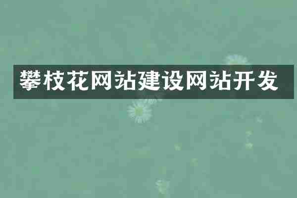 攀枝花网站建设网站开发