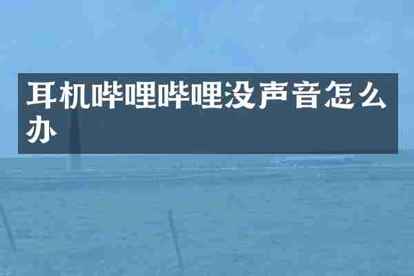 耳机哔哩哔哩没声音怎么办