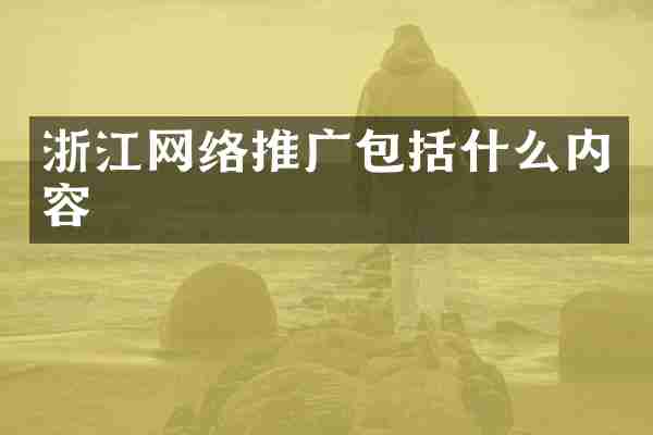 浙江网络推广包括什么内容