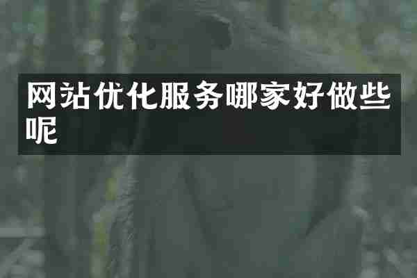 网站优化服务哪家好做些呢