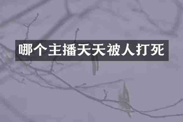 哪个主播天天被人打死