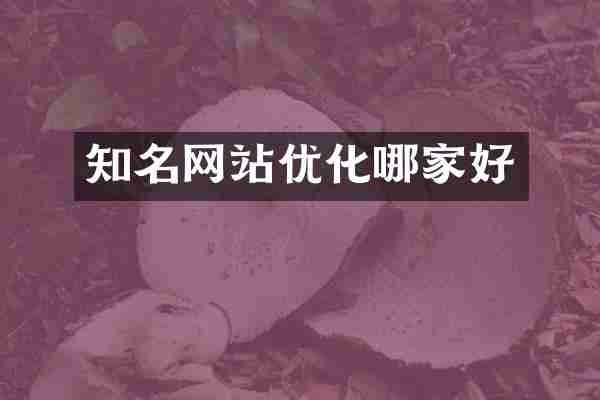 知名网站优化哪家好