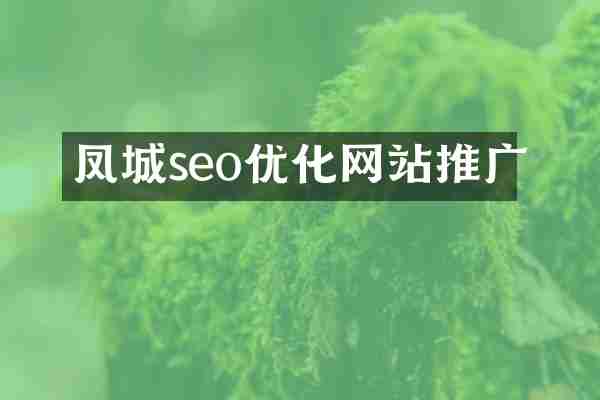 凤城seo优化网站推广