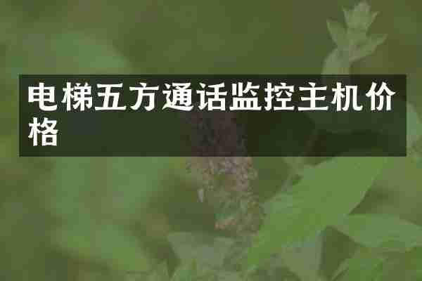 电梯五方通话监控主机价格