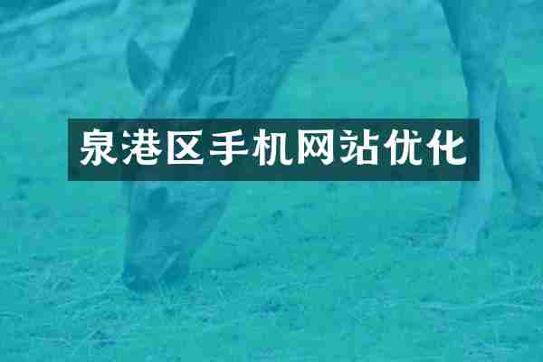 泉港区手机网站优化