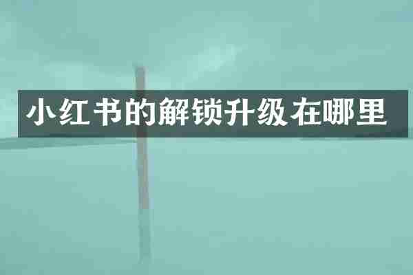 小红书的解锁升级在哪里