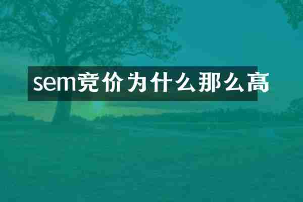 sem竞价为什么那么高