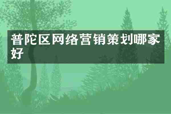 普陀区网络营销策划哪家好