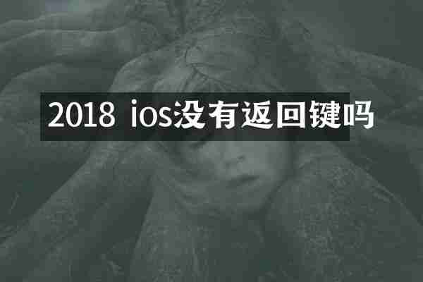 2018 ios没有返回键吗