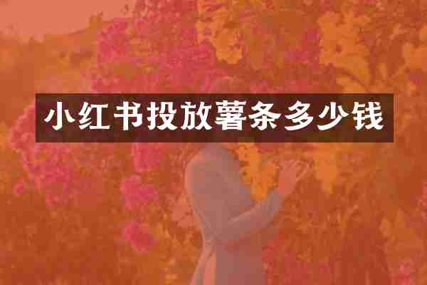小红书投放薯条多少钱
