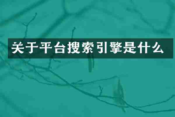 关于平台搜索引擎是什么