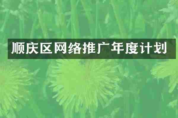 顺庆区网络推广年度计划