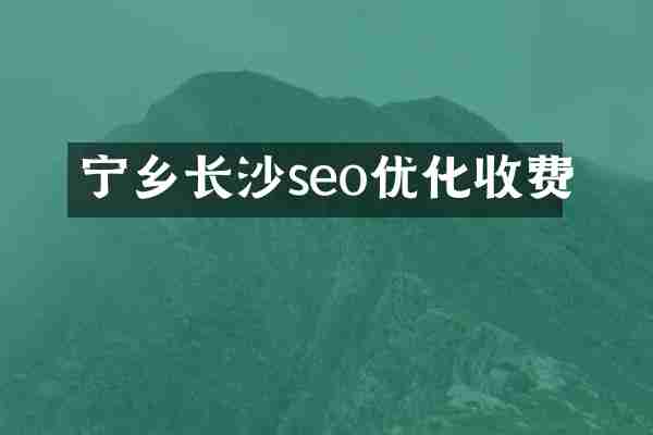 宁乡长沙seo优化收费