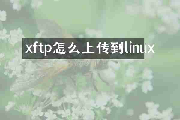 xftp怎么上传到linux