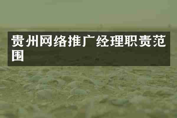 贵州网络推广经理职责范围