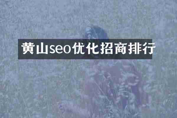 黄山seo优化招商排行